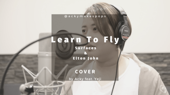 Learn to fly Cover
